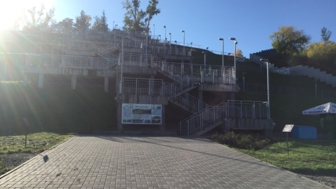 В Алтайском крае будет меньше тополиного пуха из-за холодной весны