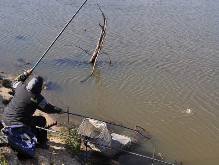 За осенней плотвой с растительными насадками