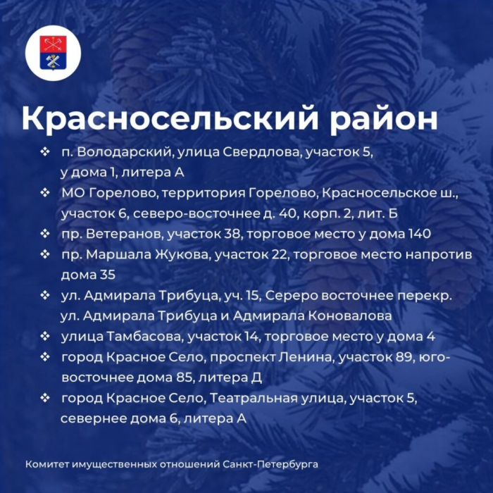 Петербуржцам назвали адреса елочных базаров, которые заработают 20 декабря 2025