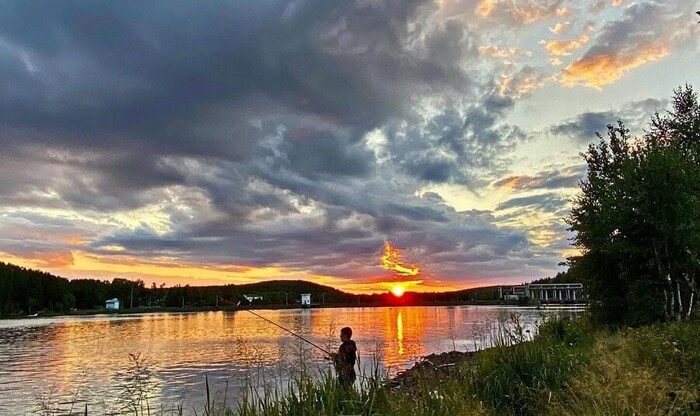 Любите путешествовать на электричке?