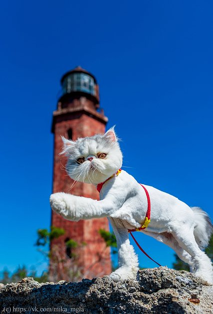 «Он излучал силу, надежность и уверенность» Россиянин 10 лет фотографирует маяки. Как их свет изменил его жизнь?