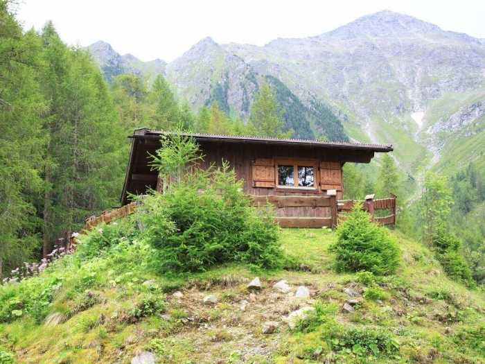 Почему в Германии лучше не ставить палатку в лесу