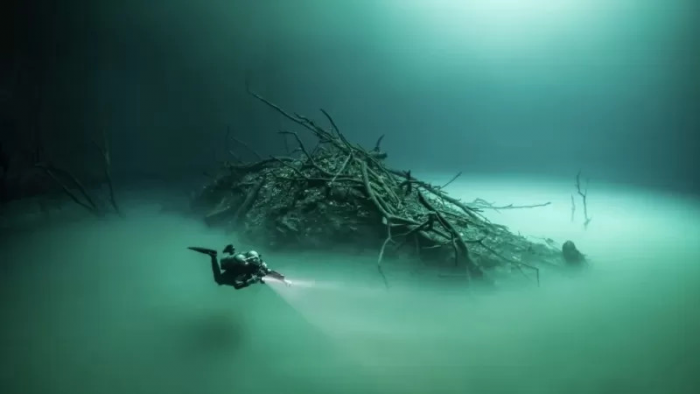 ​​Пляж из стекла и танцующий лес: редкие фотографии удивительных мест Земли