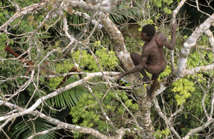 Древолазы-каннибалы: как живут последние первобытные люди на Земле