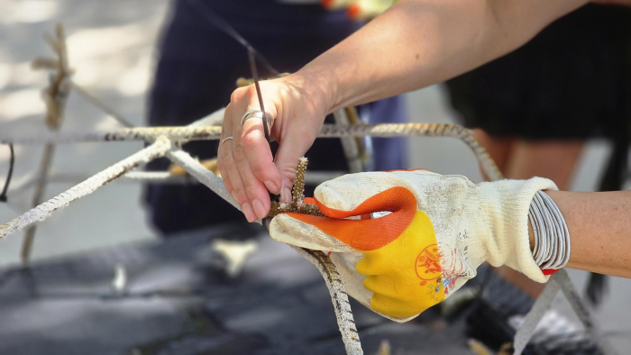 Победить стресс, подружиться с черепахой и прикоснуться к Луне: чем заняться в отпуске в апреле 2026