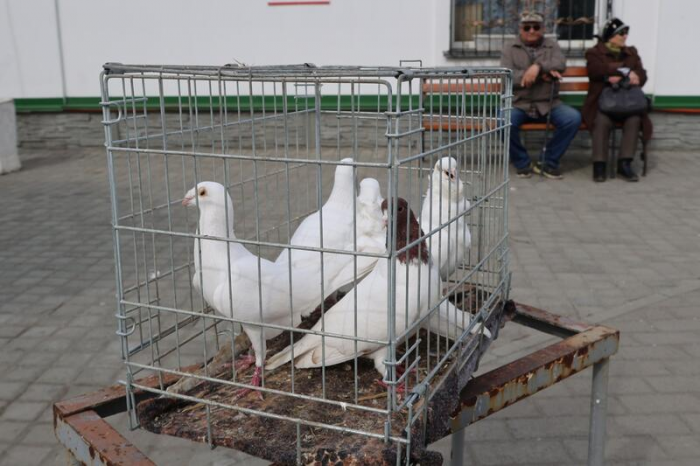Свечи, молитвы и милостыня: фоторепортаж из храма Иоанна Богослова в день Радоницы