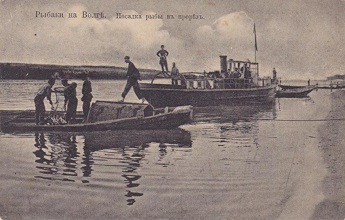 Про дореволюционных рыбов