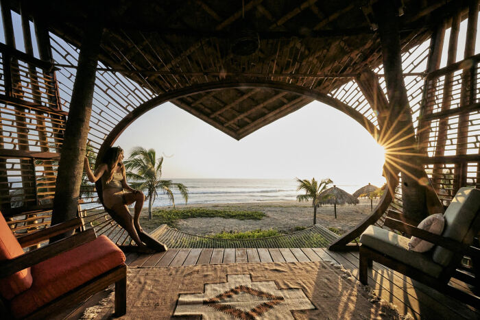 Бамбуковые домики на деревьях, которые не требуют подключения к коммуникациям