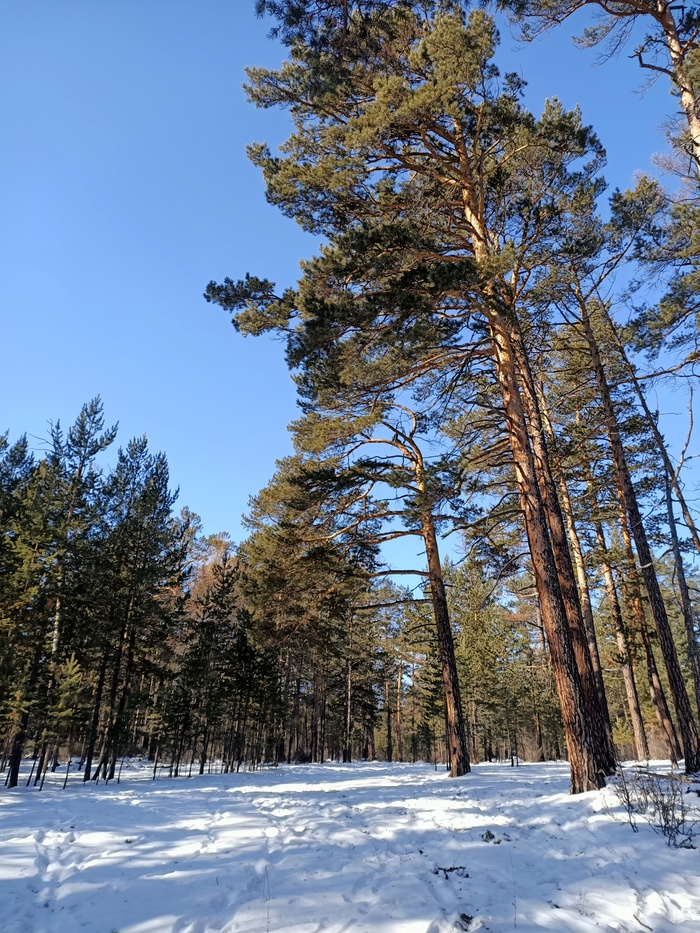 Байкал. Февраль 2023. День 6. Один на один (более 30 км пешки)