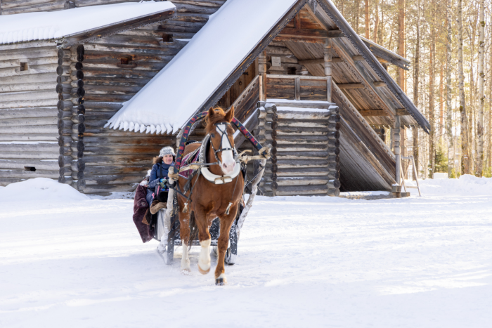 5 причин посетить Архангельскую область