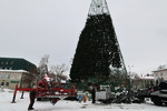 Главная городская елка на площади Свободы в Барнауле обзавелась звездой и "зеленеет". Фото
