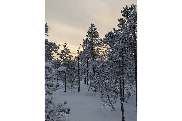 Как россияне встречали Новый год в армии, рехабе и на Крайнем Севере. «Санта летит над нашей частью»