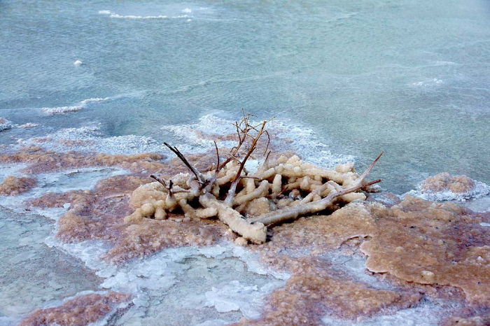 Самое соленое озеро мира находится в России, но местные обходят его за километр.