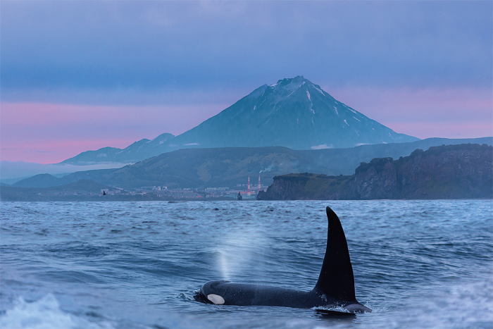 Едем дальше: новая туристическая карта России