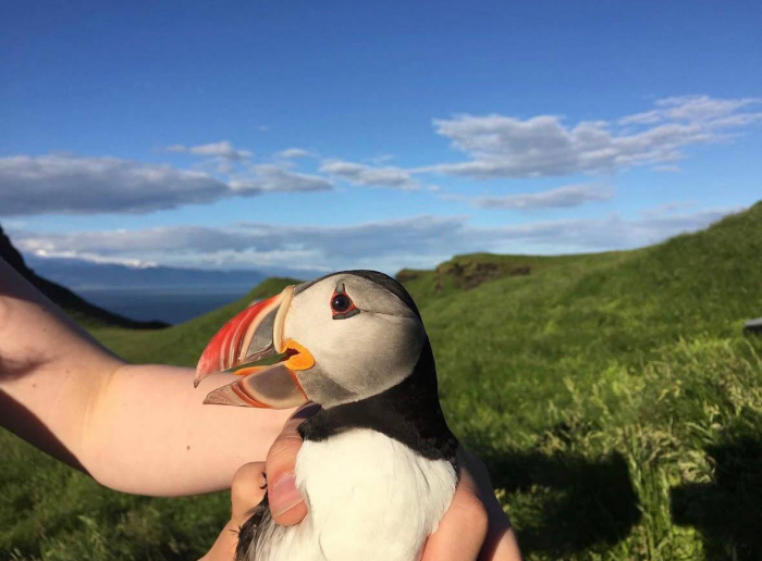 Где находится тот самый одинокий дом на острове и кто в нём живёт