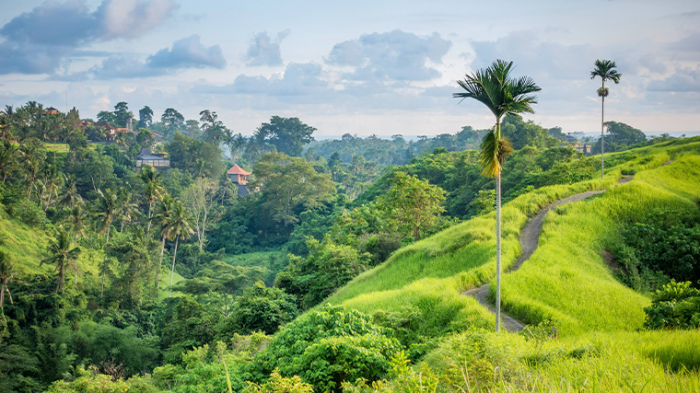 Растет риск заражения? Опасно ли россиянам лететь отдыхать на Бали