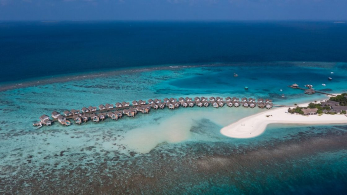 Курорт Cora Cora Maldives запустил программу по восстановлению кораллов