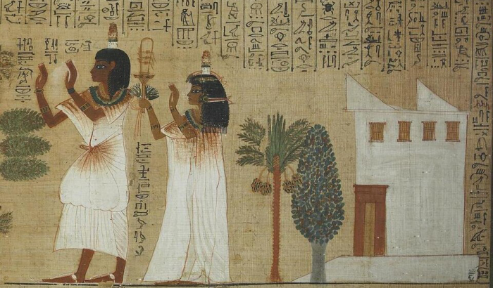 Сладкое золото пустыни: как финики завоевали мир