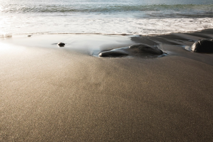 Что ожидает туристов на Черном море летом 2026