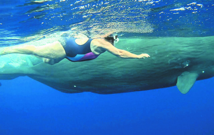 Turogo.ru - Туризм, охота и рыбалка