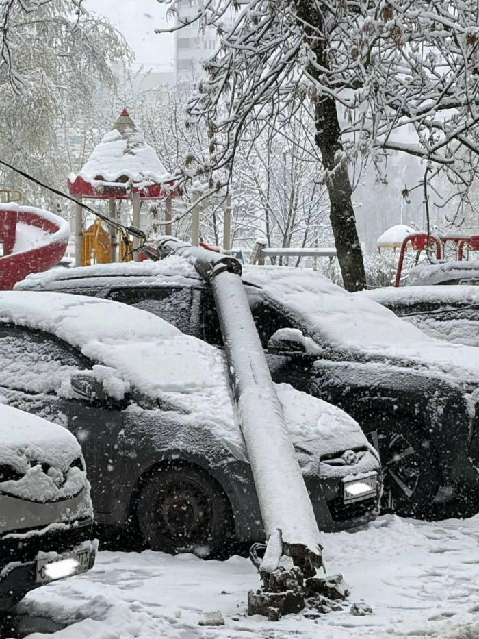 Поваленные деревья, поврежденные машины: Москва оказалась в центре снежного апокалипсиса (много фото)