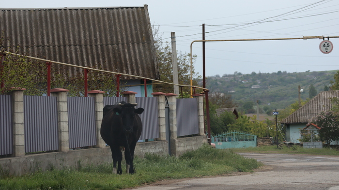 Дойбаны ,ПМР