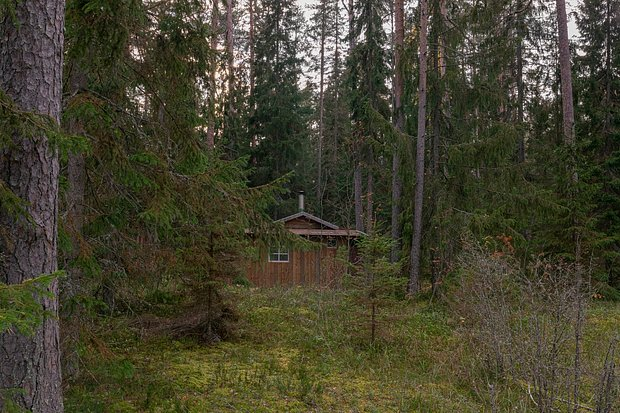 «Это место, где близок Бог и одновременно дьявол» Валаам меняет людей и ломает их волю. Почему россияне едут туда снова и снова?
