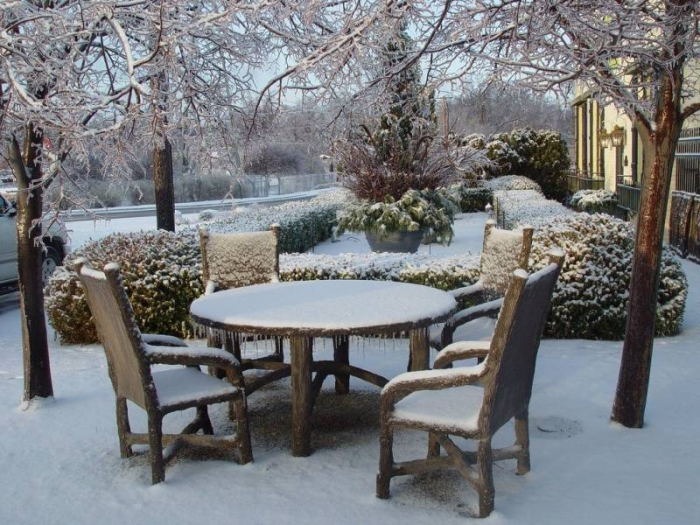 Зимой не спим: почему деревья нуждаются в холодном поливе