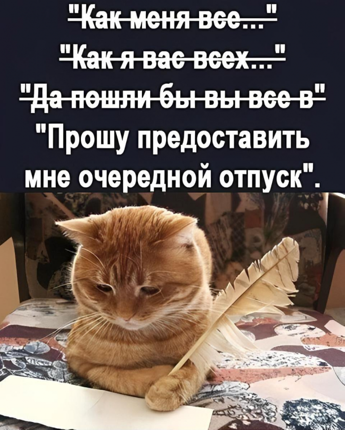 Смешные мемы и картинки про отпуск и отдых