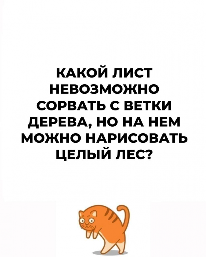 Не зевай, решай: 15 увлекательных загадок