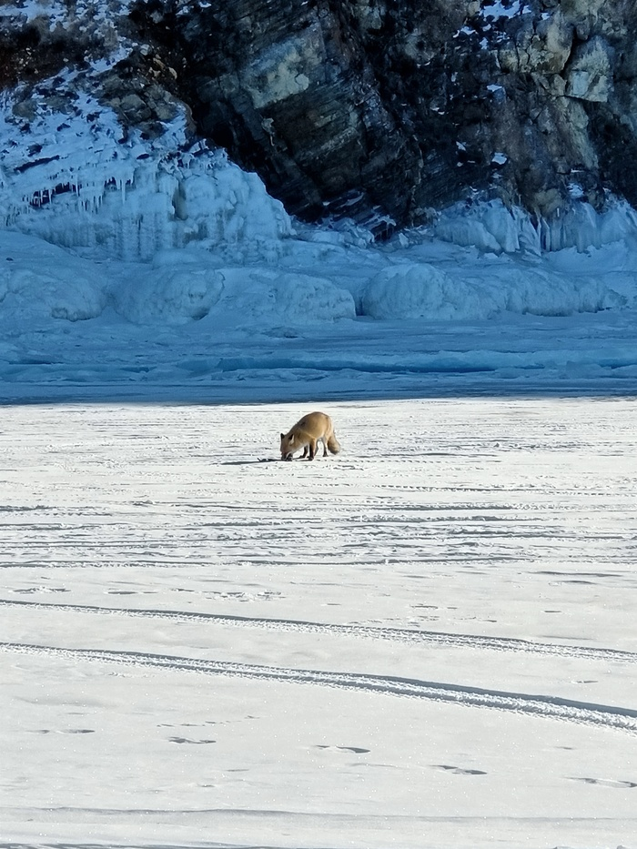 Байкал. Февраль 2023. День 5. Север острова Ольхон