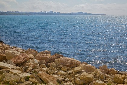 Информацию Украины о загрязнении вод Черного моря опровергли