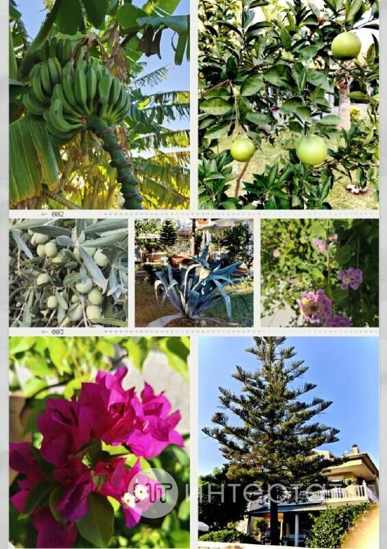 Диңгез буенда хәлләр бар, яки Мин ничек беренче тапкыр ял иттем