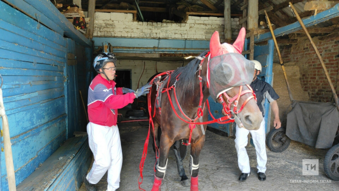Шыгырдан җайдаклары: «Атларда чабу җанга ял бирә, бөтен тормыш мәшәкатьләре онытыла»