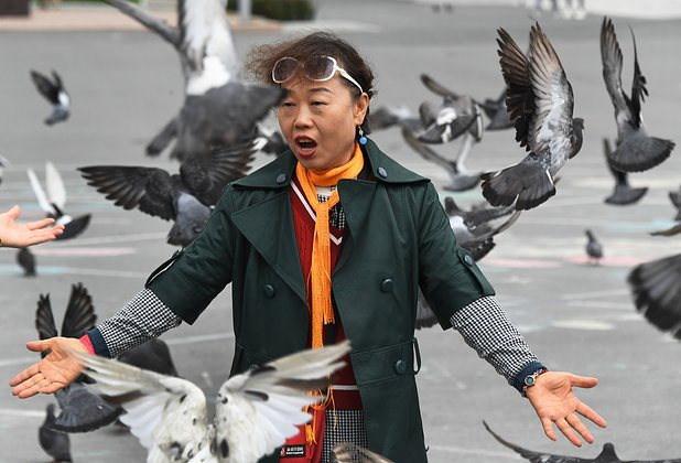 «Худшие туристы в истории». Россия отменила визы для китайцев. Почему в мире не любят путешественников из этой страны?