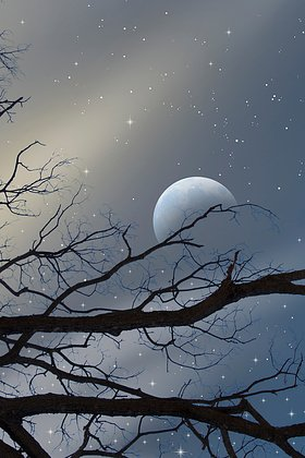 Лунный календарь на 2026 год: фазы и циклы Луны на каждый месяц