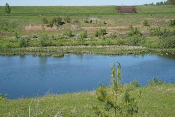 Как спиленная Чупай-гора стала местом силы