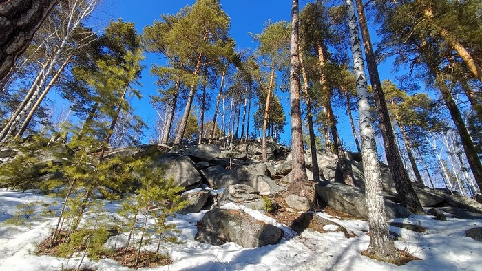 Любите путешествовать на электричке?