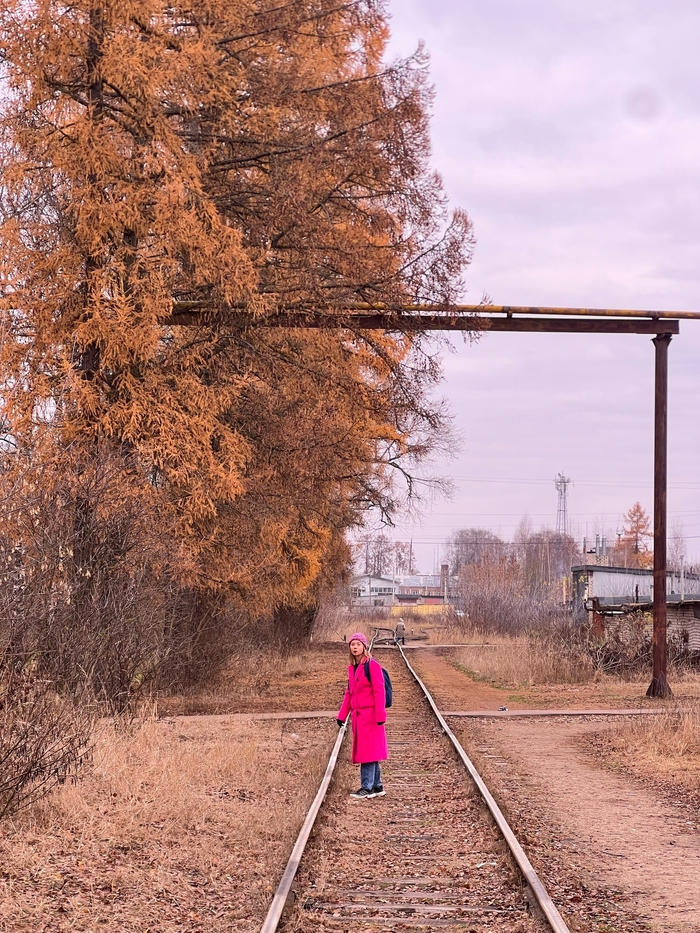 Кинешма: тупик или фронтир на обломках былого величия?