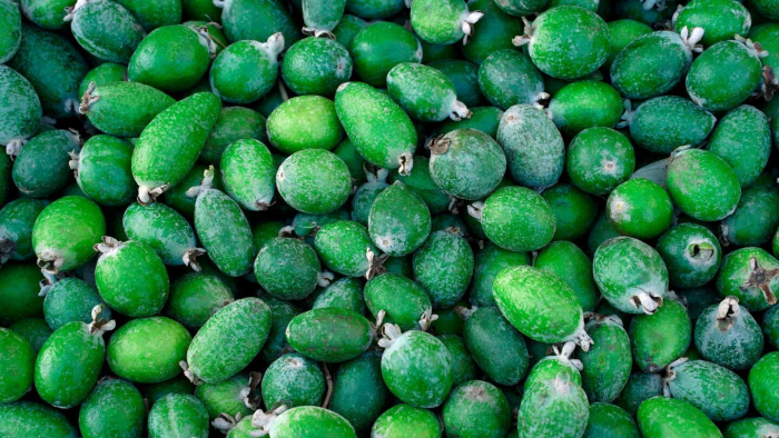 7 интересных фактов о фейхоа: ягода с бразильским характером