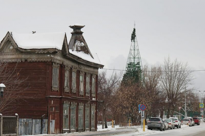 Главная городская елка на площади Свободы в Барнауле обзавелась звездой и "зеленеет". Фото