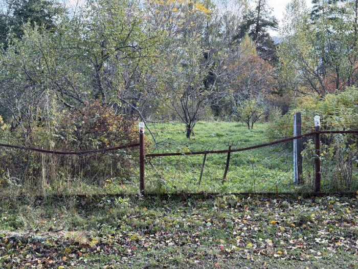 "От медведя не убежишь". Эксклюзивный репортаж из заповедника Яйлю, где живут косолапые