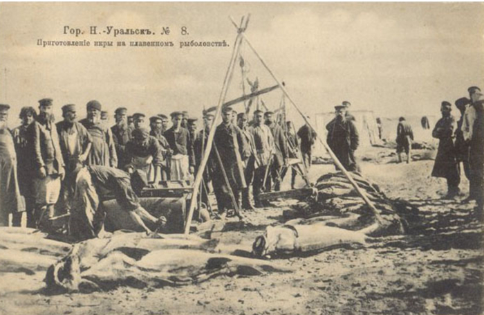 Про дореволюционных рыбов