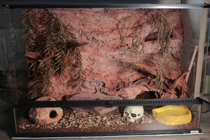 Первый террариум для первой змеи