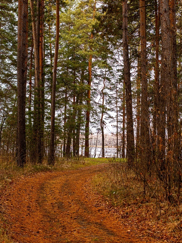 На какой бумажной фабрике Урала делали лучшую бумагу весь ХХ век?
