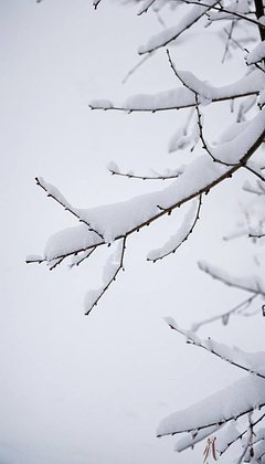 Красивые зимние обои для телефона: 80+ вертикальных картинок на заставку для уютного настроения