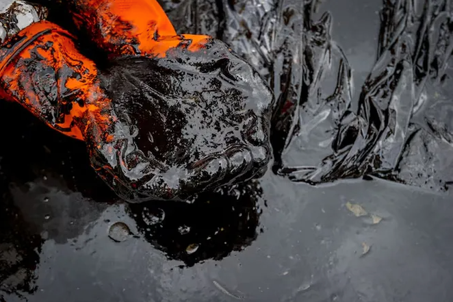 В России создали первый в мире реагент для ликвидации нефтеразливов в тропиках