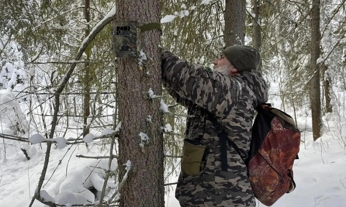 В Архангельской области выявили 64 нарушения на особо охраняемых природных территориях