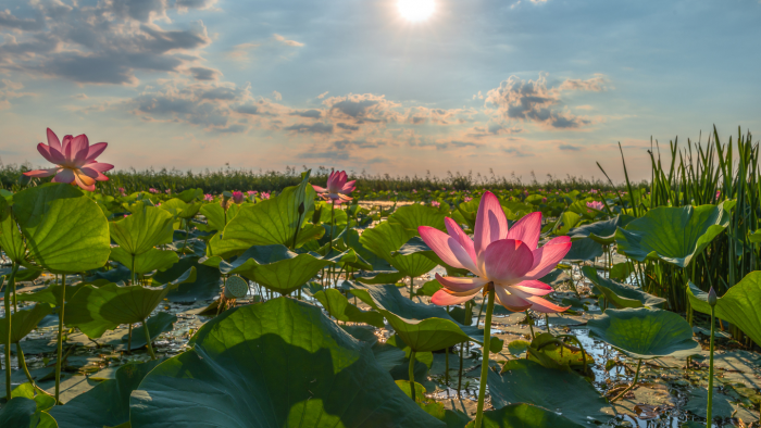 Каспийское море — это озеро?