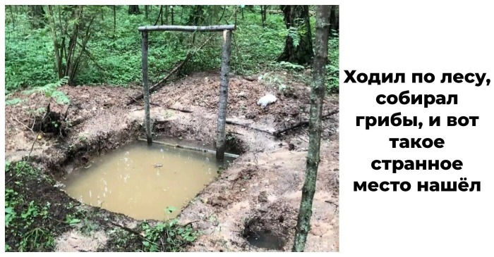 15 человек просто гуляли по лесу, пока не заметили кое-что странное